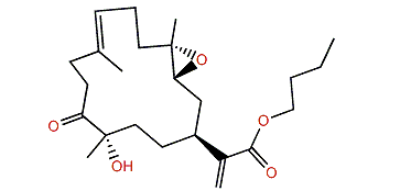 Xidaosinularide B